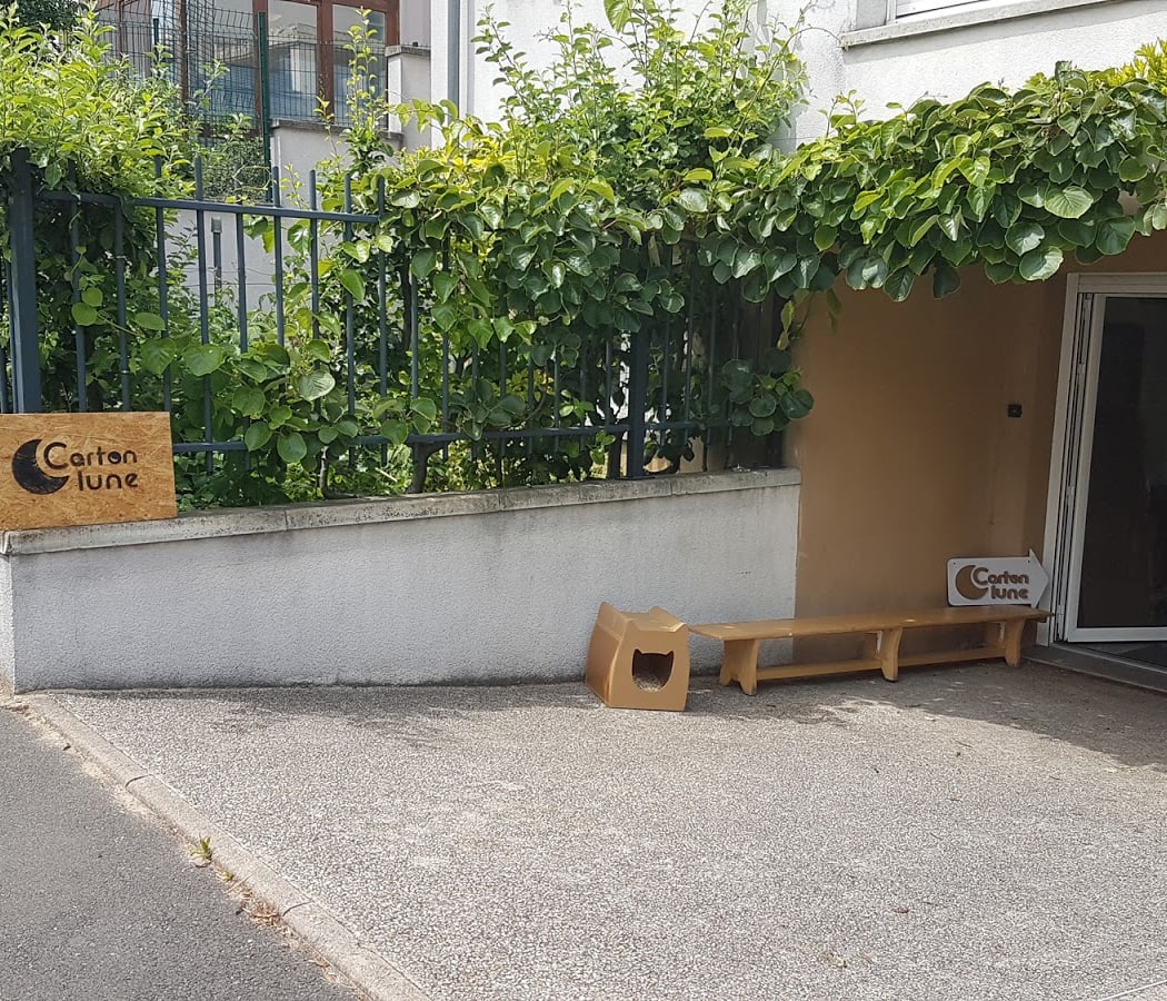 Carton Lune 2